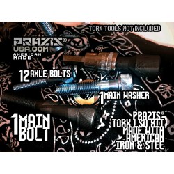 PRAZIS® M3 LSD DIFF HARDWARE MADE IN AMERICA! LSD UPGRADE PRO. RACING SUSPENSION DRIVE TRAIN LSD BOLT KIT