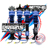 PRAZIS® RAZOR ACTIVE™ D1F1 “TOLOZA” STAGE 3 SETUP | RASS RAZOR ACTIVE SUSPENSION SYSTEM (RASS)